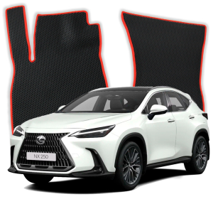 EVA Fußmatten für Lexus NX 350H 2 gen SUV (2021-2024)