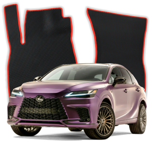 EVA Fußmatten für Lexus RX F-Sport AL30 5 gen SUV (2022-2025)