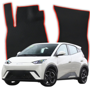 EVA Fußmatten für BYD Seagull 1 gen Kompakt 5 Türer (2023-2025)