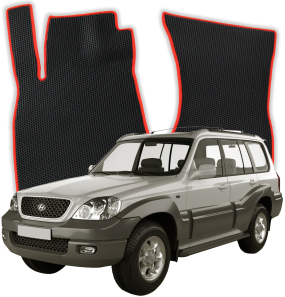 EVA Fußmatten für Hyundai Terracan 1 gen SUV (2001-2007)