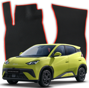 EVA Fußmatten für BYD Dolphin Surf 1 gen SUV (2021-2025)
