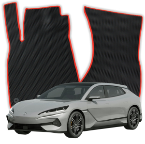 EVA Fußmatten für Denza Z9 GT Kombi (2024-2025)