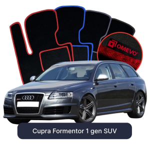 OMEVO Velours-Autofußmatten für Audi A6 C6 3 gen Kombi (2004-2011)